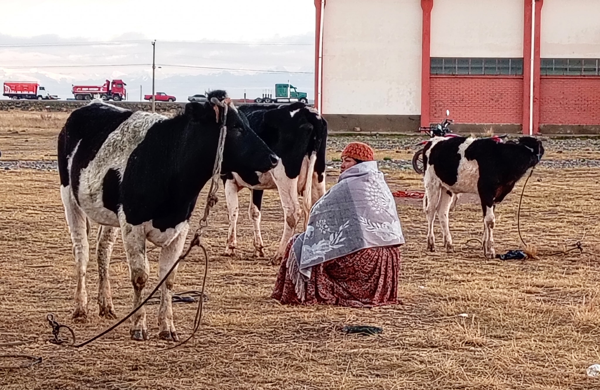 Desarrollo Productivo Laja